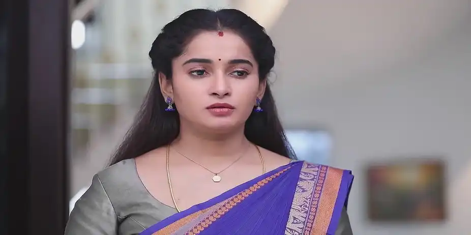 Janani's Suggestion Scares Raji - Mounam Pesiyadhe