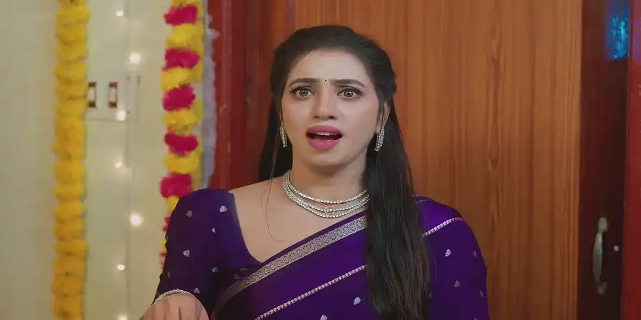 Maya Alerts Mahesh - Karthigai Deepam