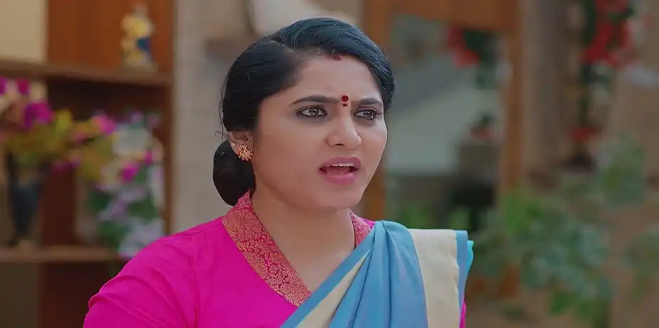 Meghasandesam - March 11, 2025 - Best Scene
