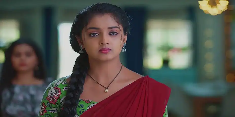 Meghasandesam - March 10, 2025 - Best Scene