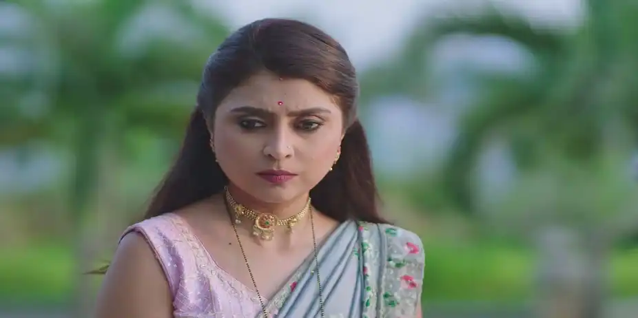 Damini Sees the Torn Picture with Paaru - Paaru
