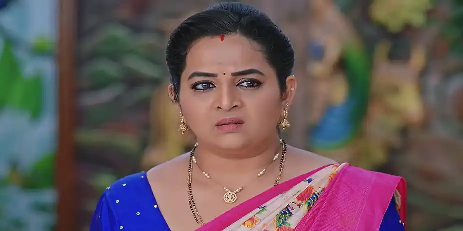Gundamma Katha - March 19, 2025 - Best Scene