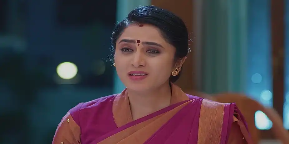 Meghasandesam - March 20, 2025 - Best Scene