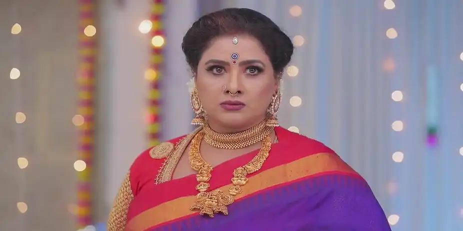 Vedhanayagi Gets Agitated - Valliyin Velan