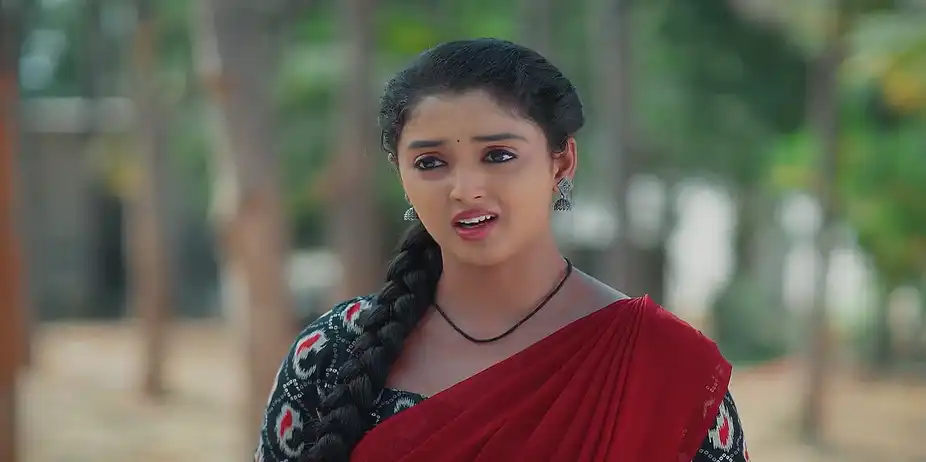 Meghasandesam - March 29, 2025 - Best Scene