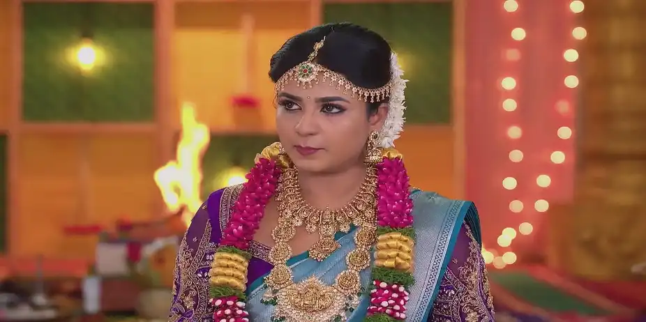 Revathi Blames Raja - Karthigai Deepam