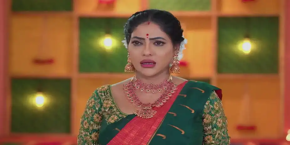 Chamundeshwari Advises Revathi - Karthigai Deepam