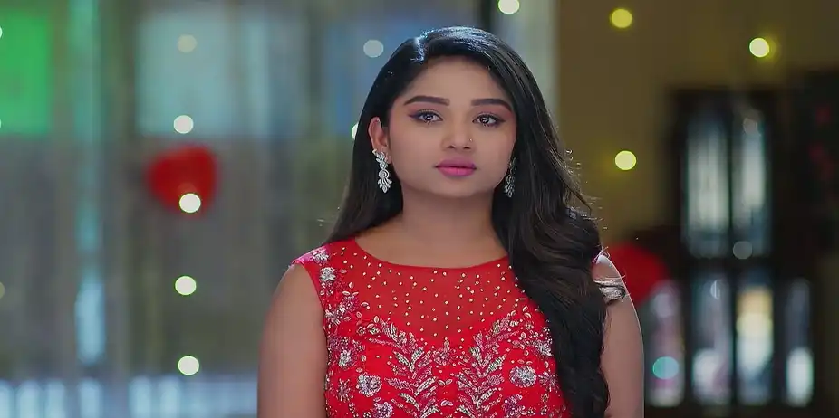 The Surprise Planned by Aditya Amazes Aadhya - Sandhyaraaga