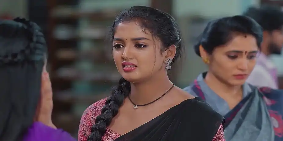 Meghasandesam - April 02, 2025 - Best Scene