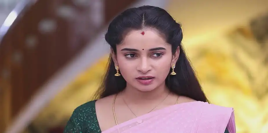Meghala Speaks Arrogantly to Janani - Mounam Pesiyadhe
