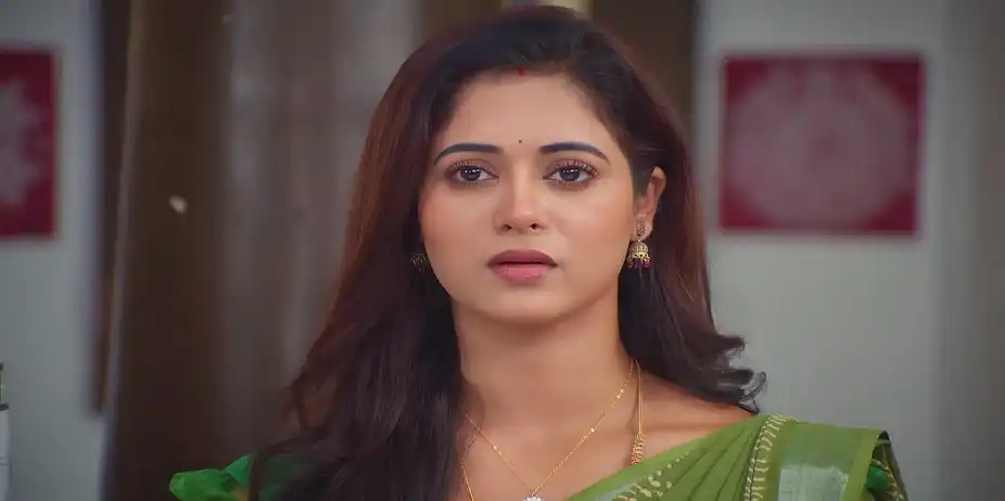 The Remedies Scare Charulatha - Sandhya Raagam