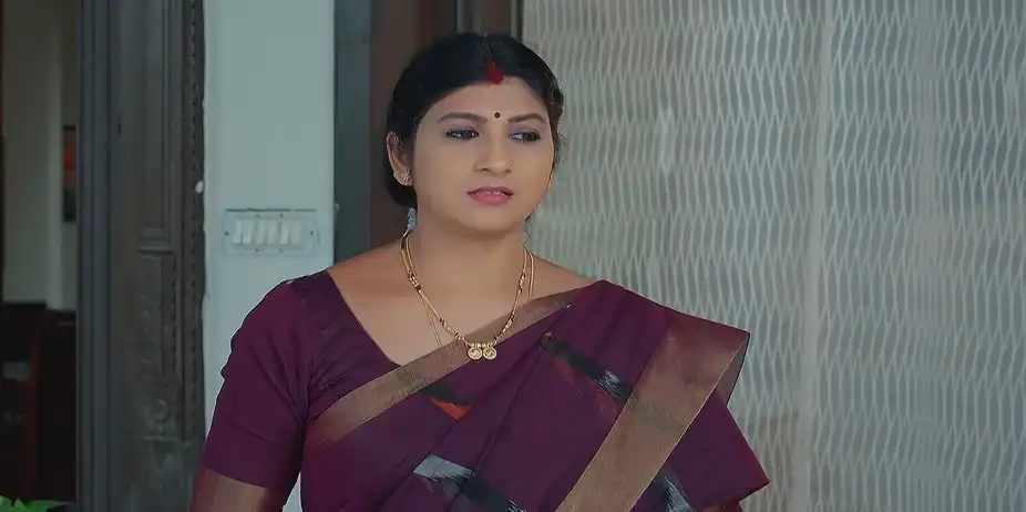 Dheerga Sumangali Bhava - April 19, 2025 - Best Scene