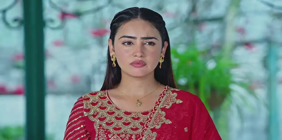 Meher Addresses Her Worries - Sehajveer