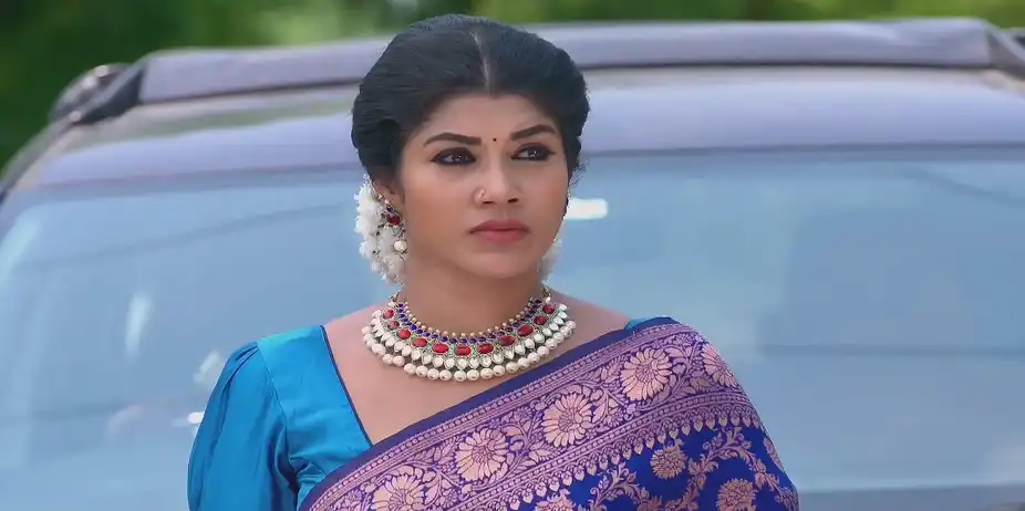 Sandhya Raagam - April 18, 2025 - Best Scene