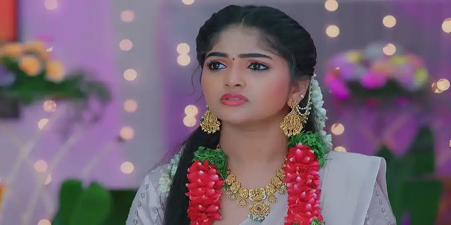 Dheerga Sumangali Bhava - April 22, 2025 - Best Scene