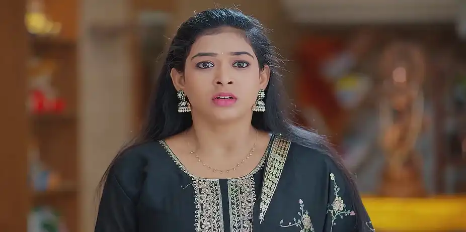Meghasandesam - April 21, 2025 - Best Scene