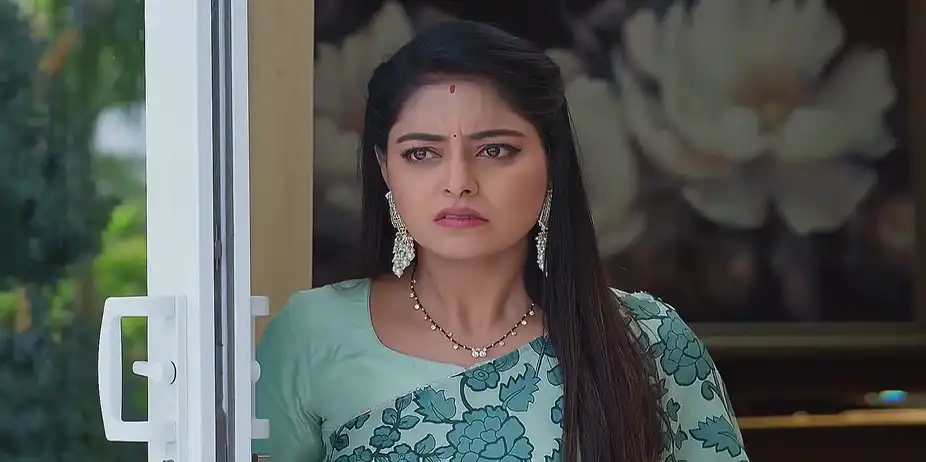 Jagadhatri - May 01, 2025 - Best Scene