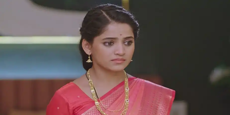 Damini Accuses Paaru of Theft - Paaru