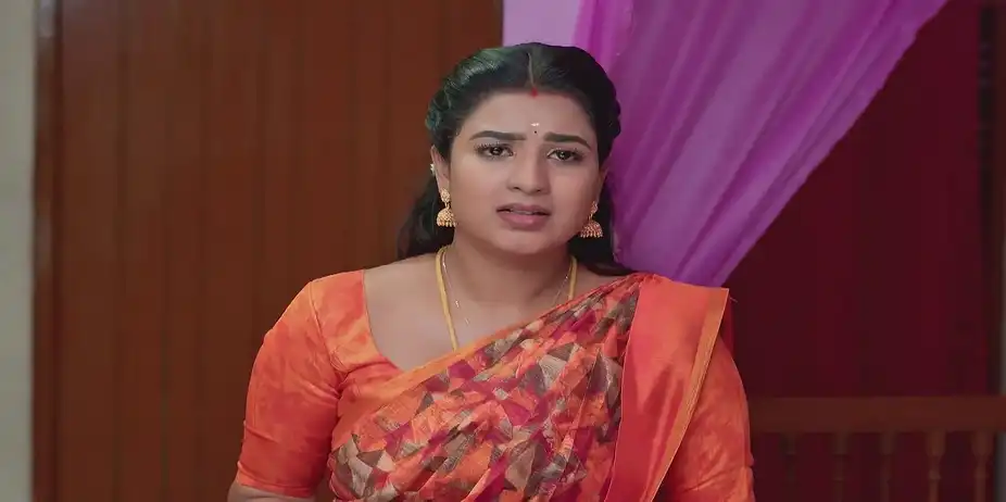 Karthigai Deepam - May 01, 2025 - Best Scene