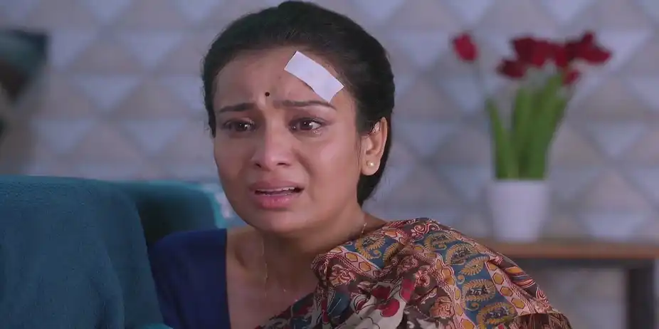 Leela Is Hurt By AJ's Cold Behaviour - Navri Mile Hitlerla