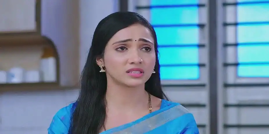 Vishalakshi's Revelation Surprises Subbu - Shravani Subramanya