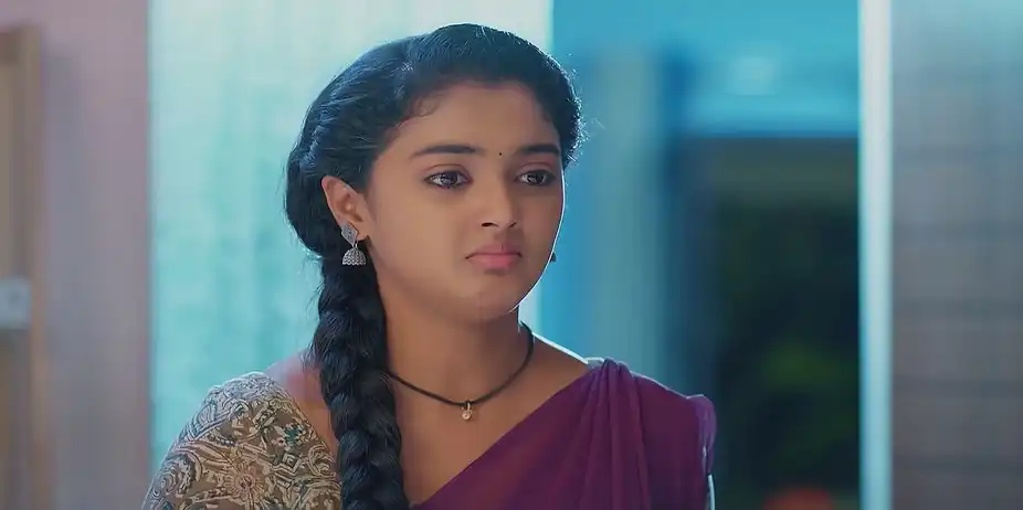 Meghasandesam - May 13, 2025 - Best Scene