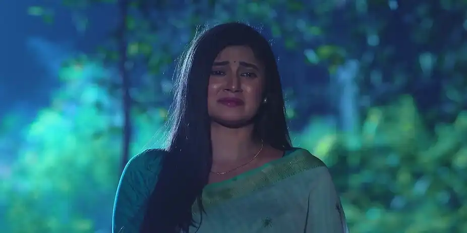 Madhav Worries about Ragini - Sandhya Ragini