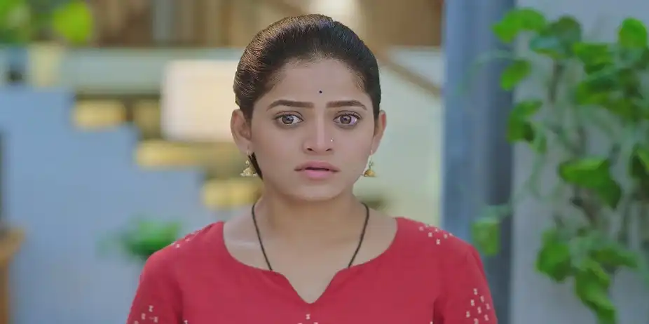 Paaru - May 28, 2025 - Best Scene