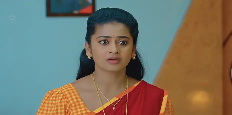 Dheerga Sumangali Bhava - May 26, 2025 - Best Scene