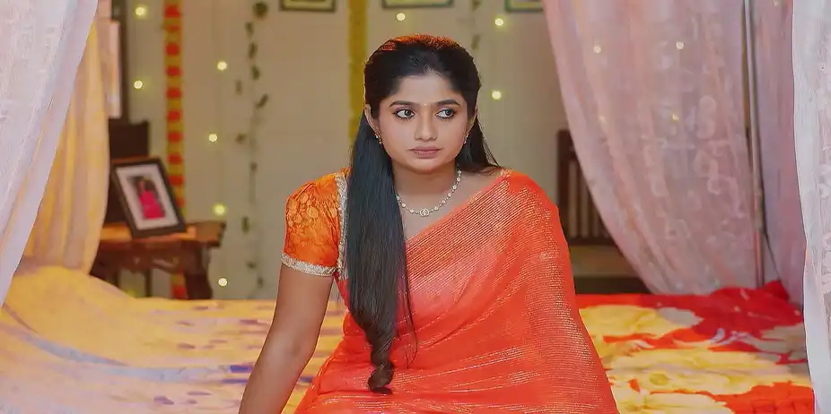 Rajalakshmi's Plan to Fool Janaki - Sandhyaraaga