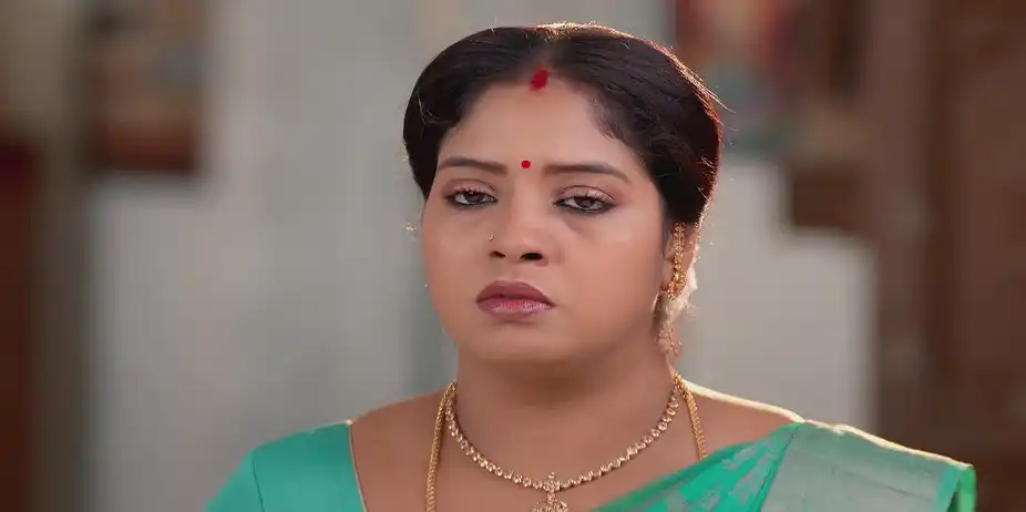 Seenu Recounts the Incidents - Sandhya Raagam