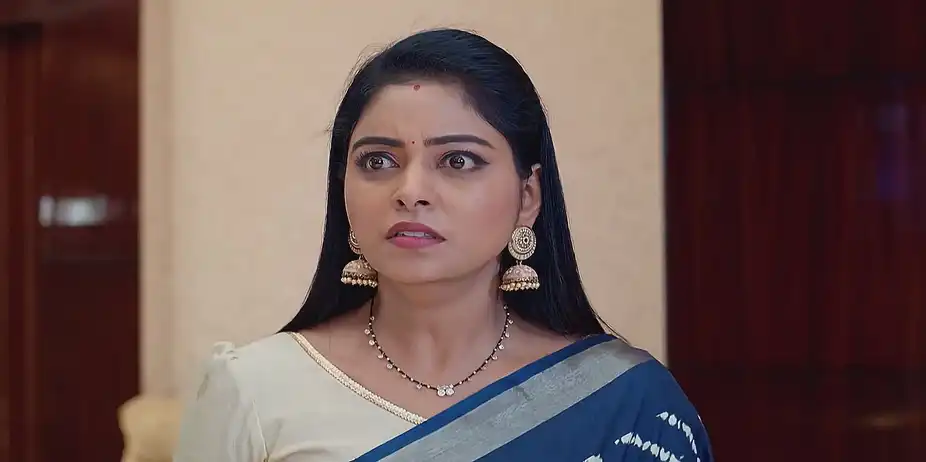 Jagadhatri - June 04, 2025 - Best Scene