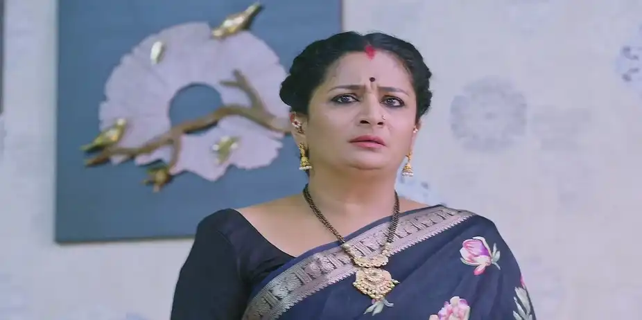 Madan Tells Vijaya about an Attack - Shravani Subramanya