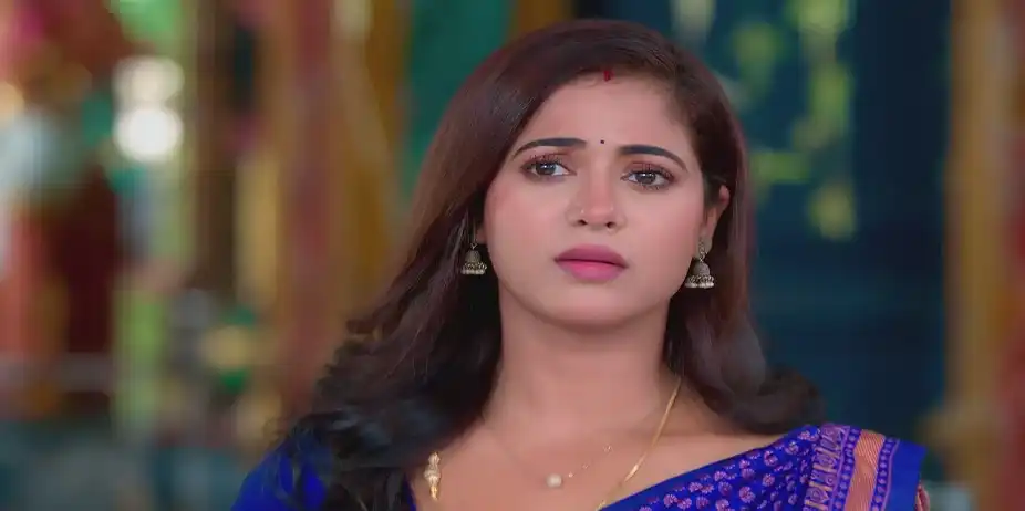 Dhanalakshmi Seeks Raghuram's Blessings - Sandhya Raagam