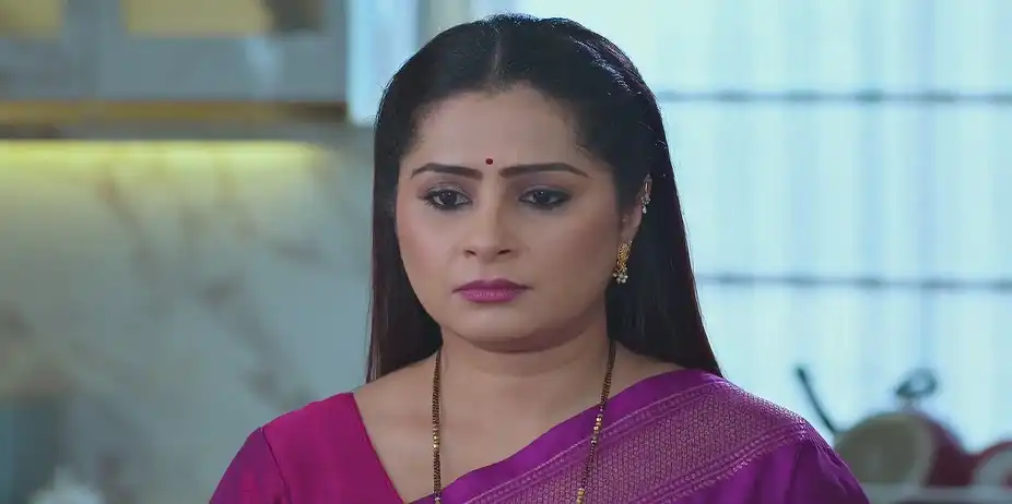 Savali Comforts Amruta - Savalyachi Janu Savali
