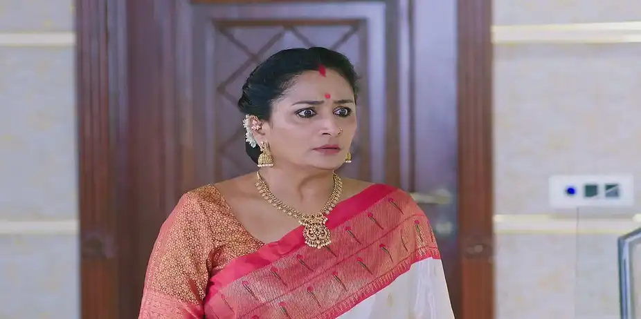 Lalita Devi's Arrival Makes Vijaya Uneasy - Shravani Subramanya