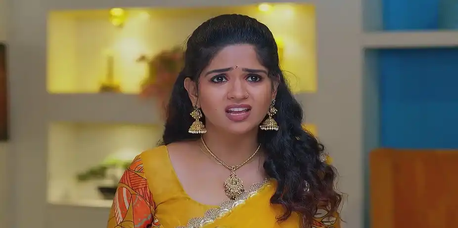 Lakshmi Nivasam - June 19, 2025 - Best Scene