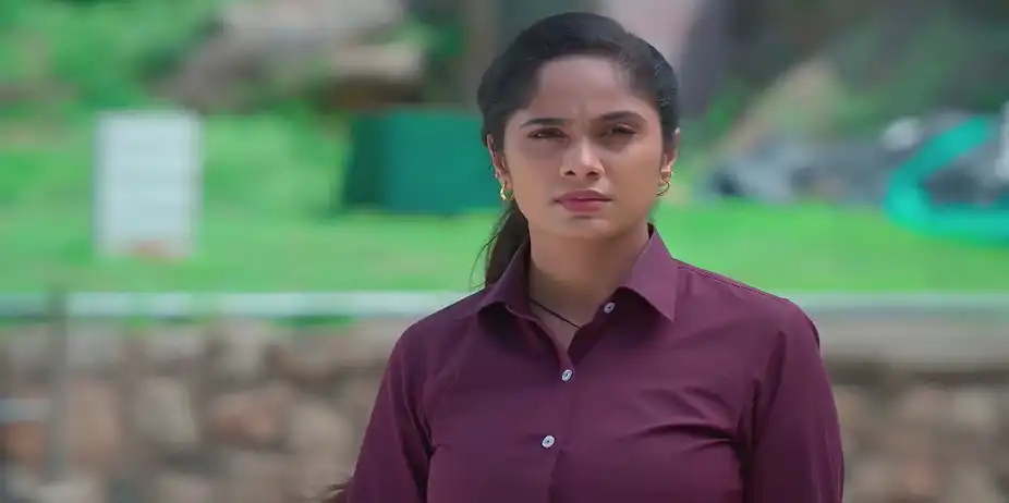 Ayali Has a Plan - Ayali