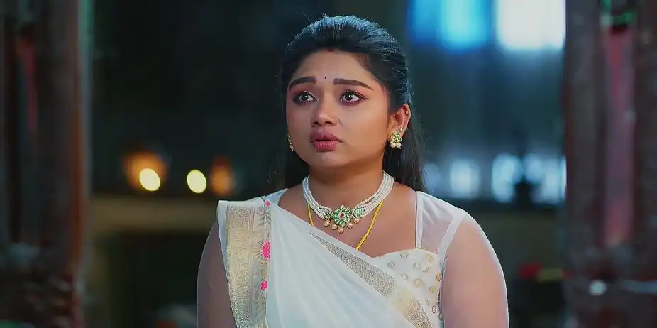 Janaki Prepares Aadhya for Her Nuptial Night - Sandhyaraaga