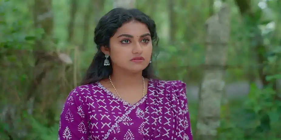 Devanarayanan Places a Condition before Radhika - Snehapoorvam Shyama
