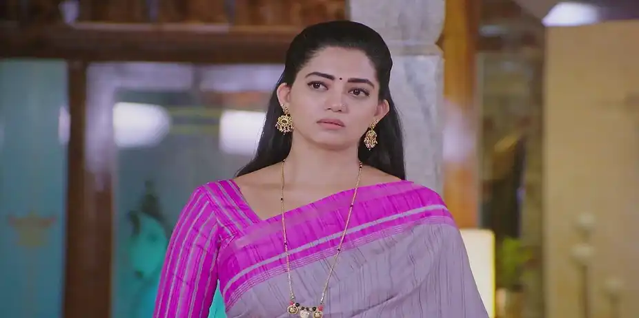 Marigowda Comforts Bhavana - Lakshmi Nivasa