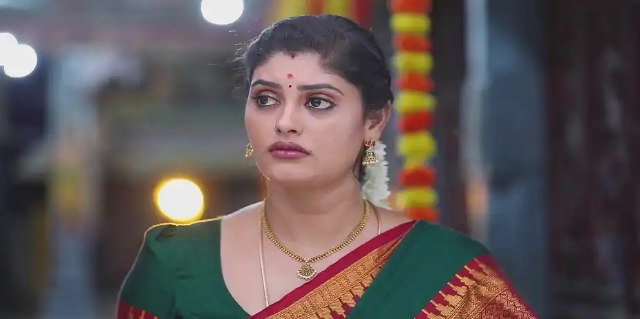 Meghala Feels Her Plan Succeeding - Mounam Pesiyadhe