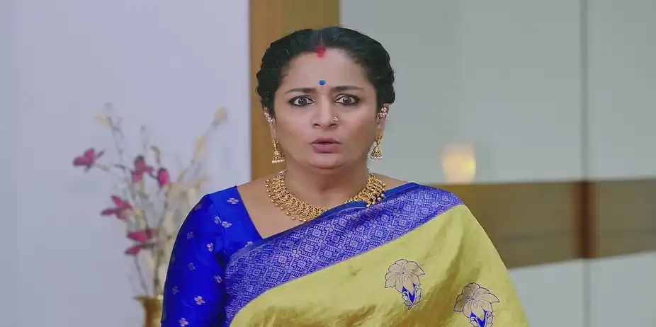 Vijaya Is Left in a State of Panic - Shravani Subramanya