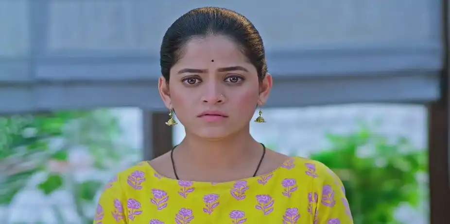 Damini Scolds Priya Over Paaru - Paaru