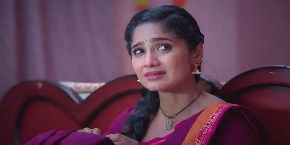 Ayali's Situation Pleases Chellamma - Ayali