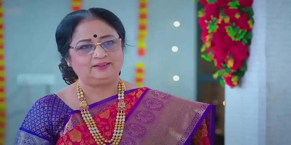 Chellamma Comforts Jamuna - Ayali