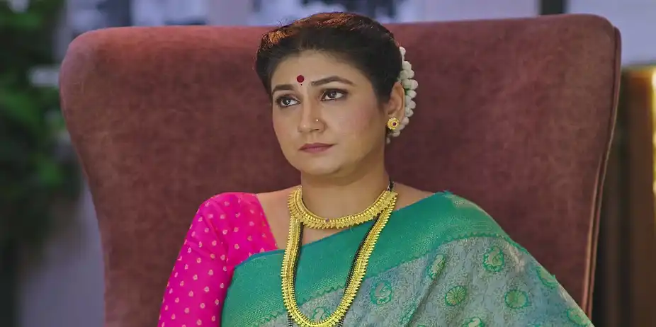 Damini Changes the Cooks at Home - Paaru