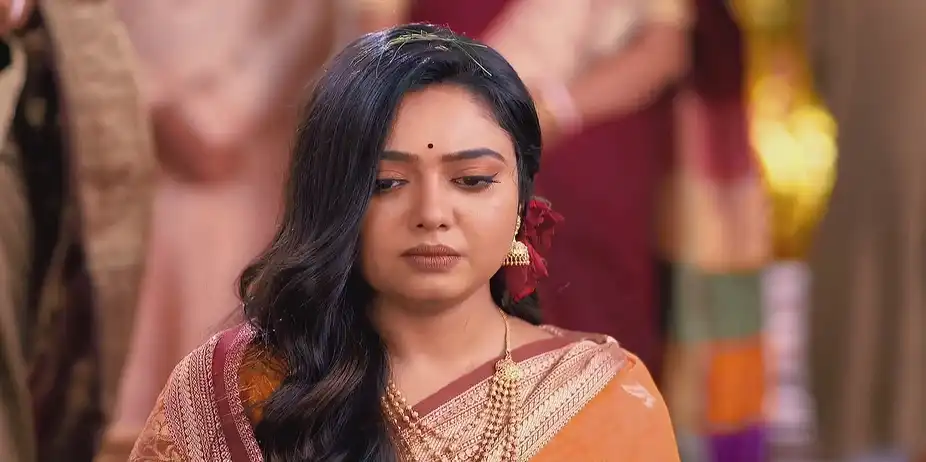 Parvati and Prodip's Ring Ceremony - Amader Dadamoni