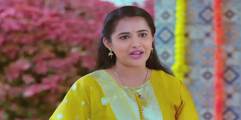 Everyone Praises Deepa's Talent - Brahmagantu
