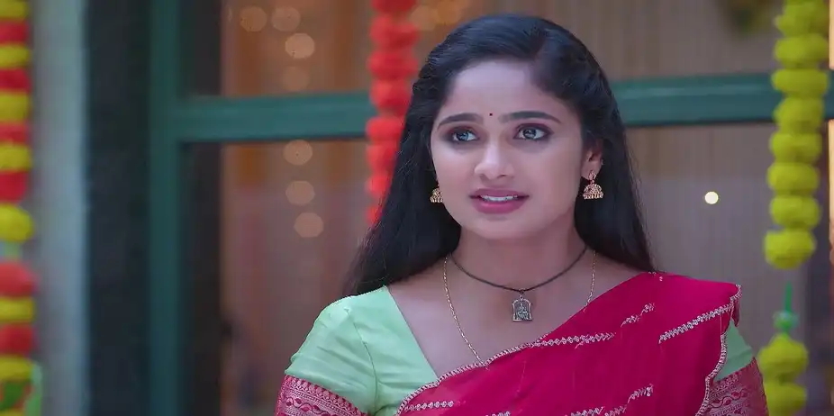 Chellamma Stops Ayali - Ayali